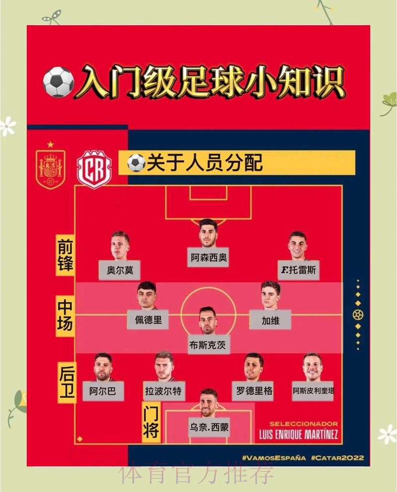 世界杯买球网页版热门攻略解析
