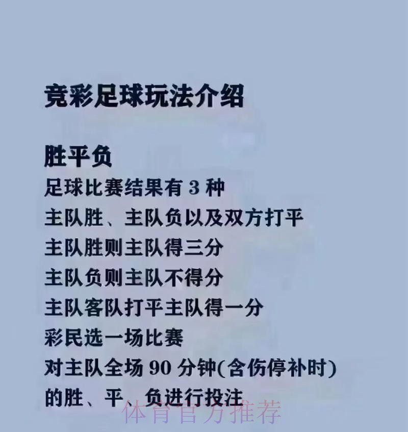 世界杯买球网页版热门攻略解析